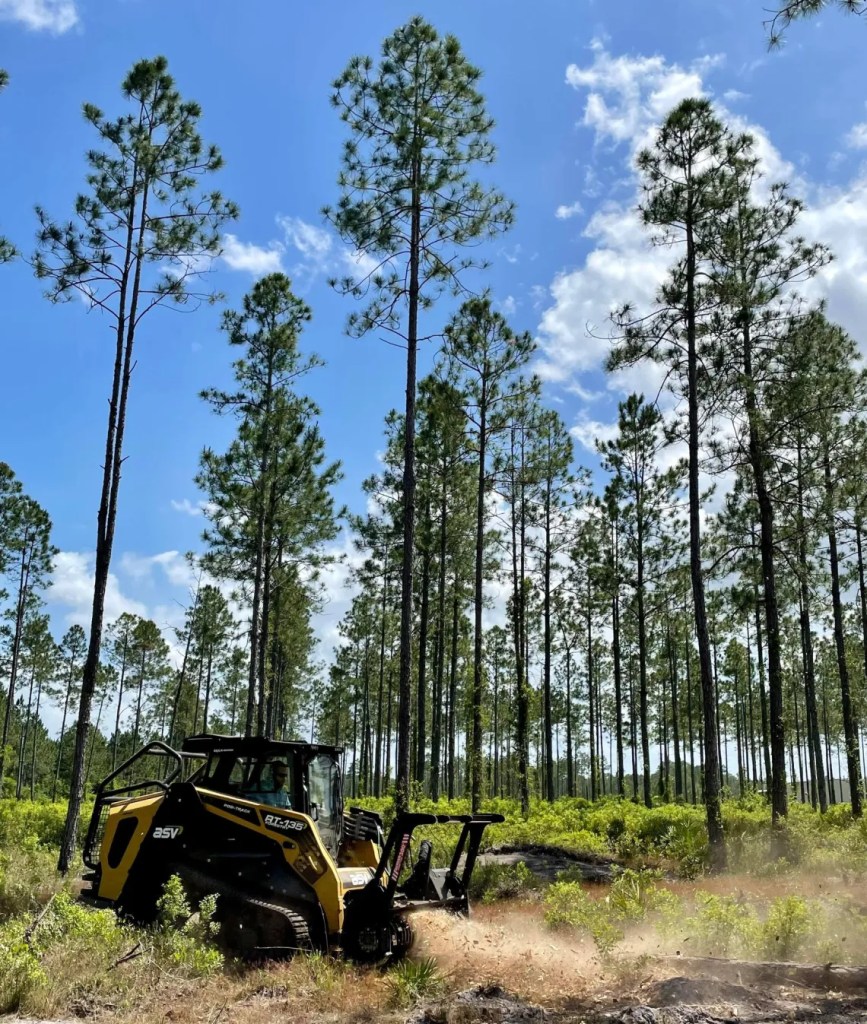 Alabama Brush Mulching Services | Land Clearing Professionals