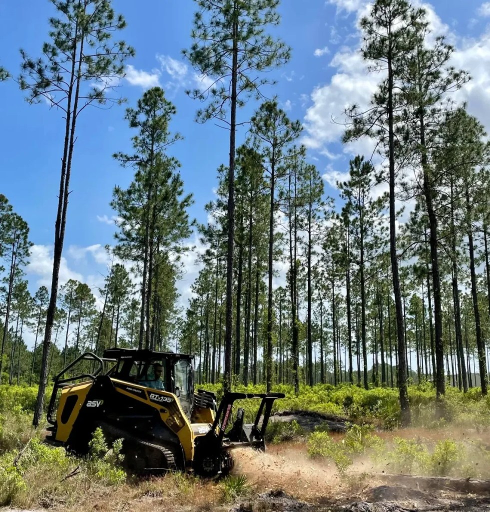 Brush Mulching Service South Carolina | Land Clearing Expert